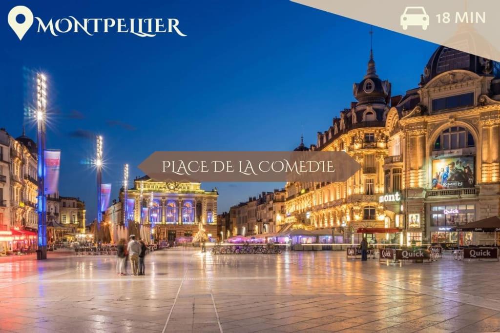 016- T2 Tropisme, 1 Chambre,clim,wifi,parking